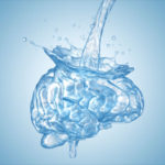 Mozek a tekutiny